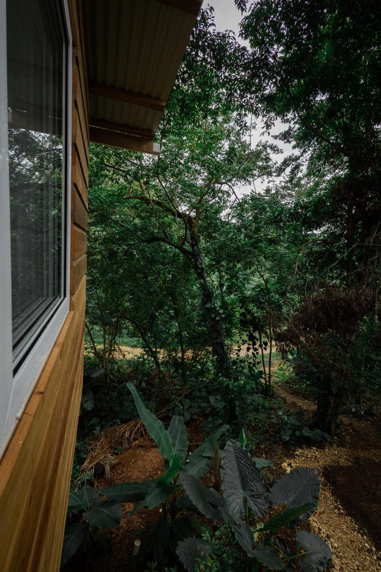 Monkey Tiny House - Private Swimming Pool Villa Big Bight Ngoại thất bức ảnh